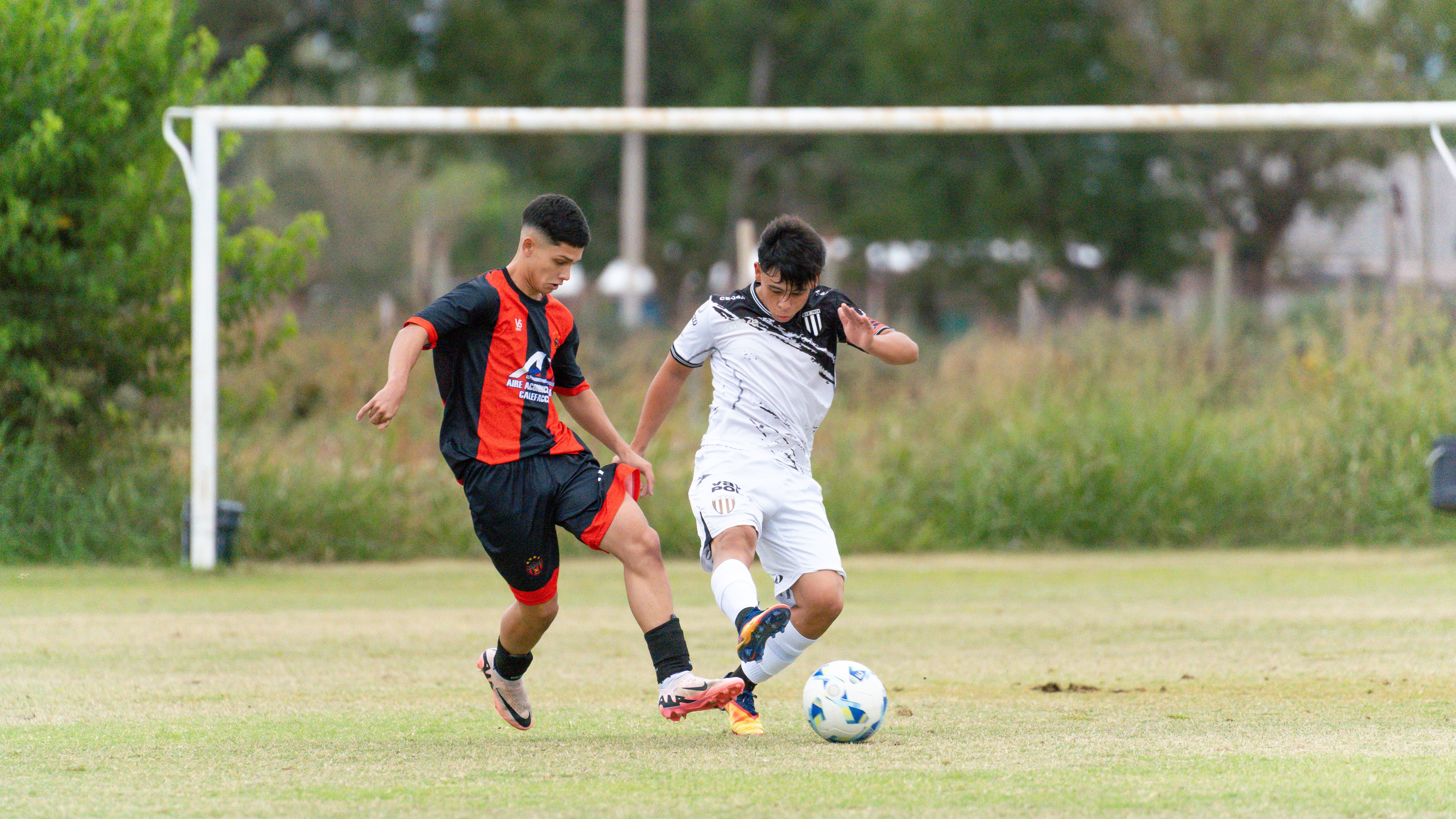 크로스 연결 상황의 축구 경기 액션