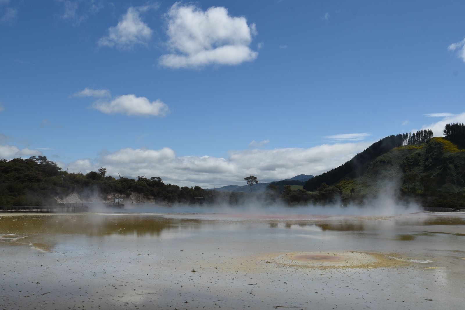 Rotorua travel guide