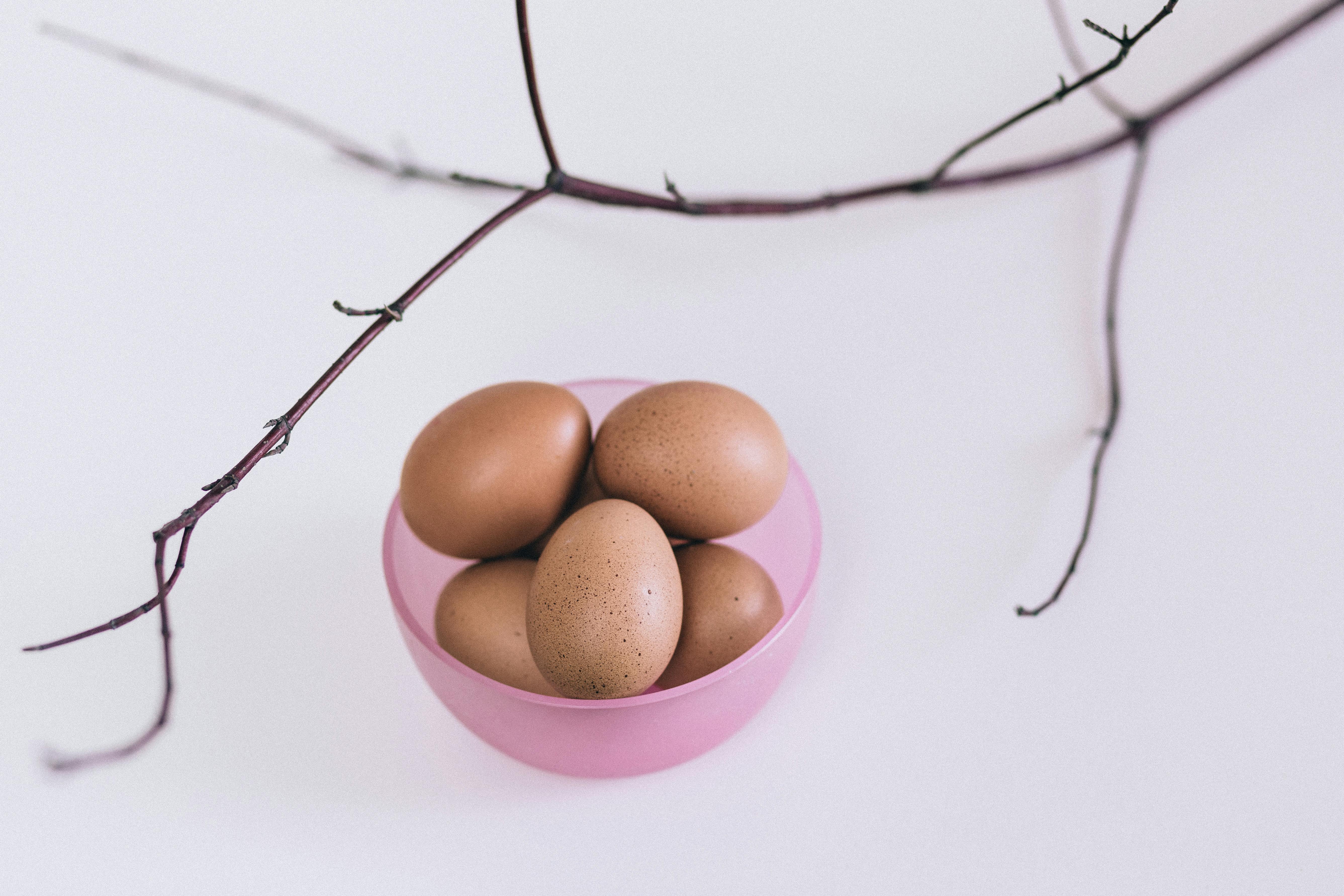 Eggs on Pink Plastic Bowl · Free Stock Photo