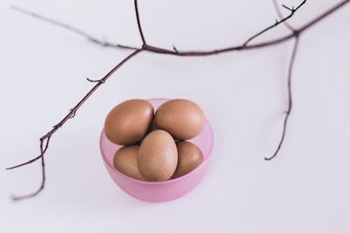 Ingyenes stockfotó ág, barna, csendélet témában