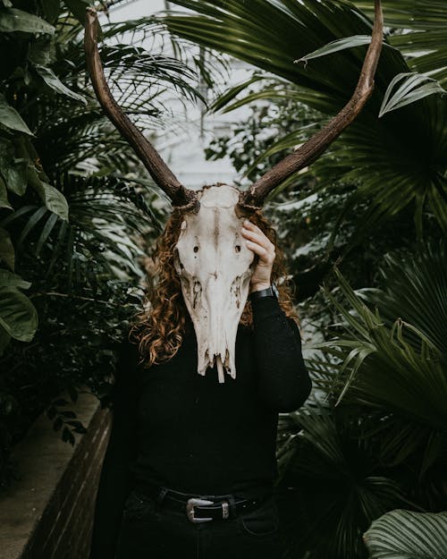 Free Person Holding an Animal Skull Stock Photo