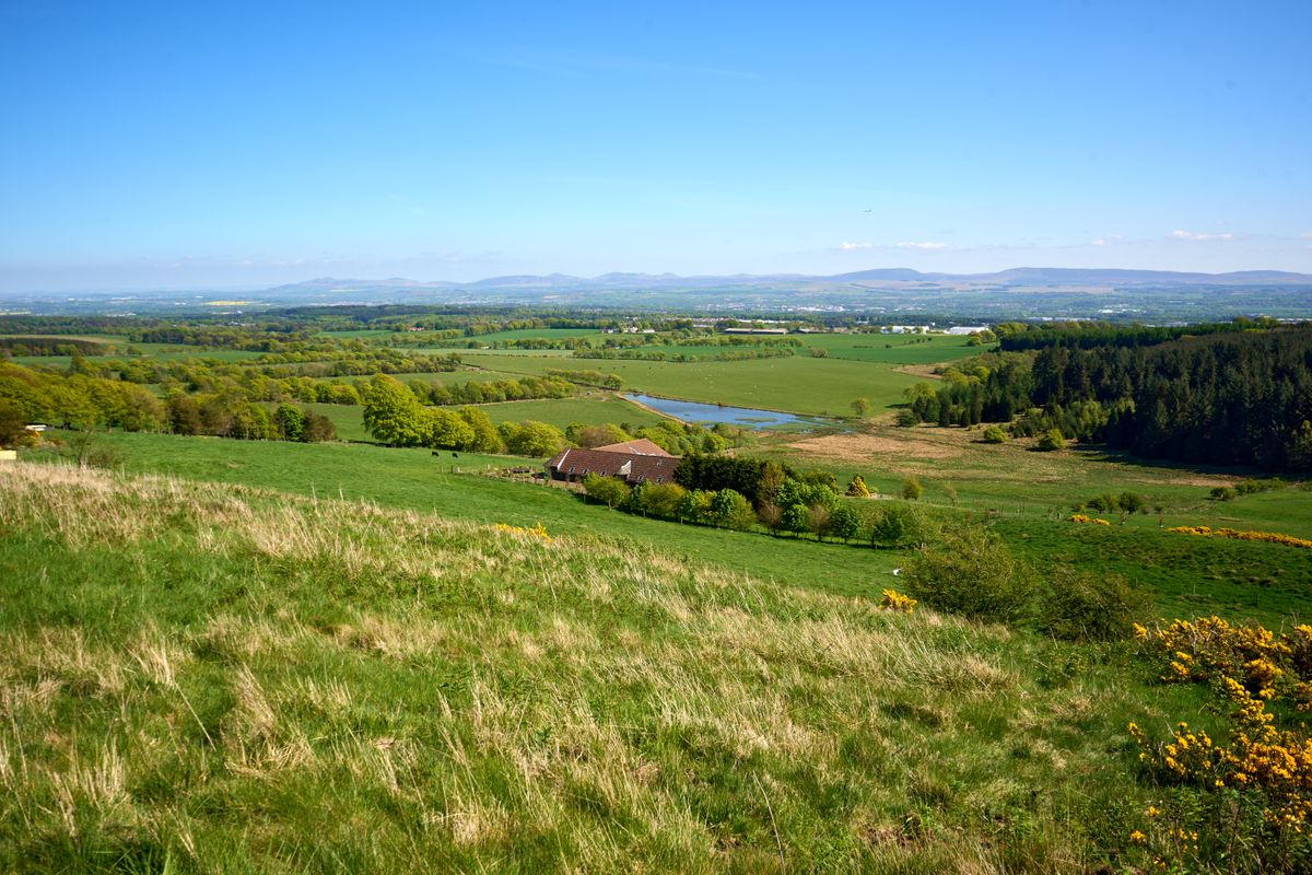 Scenic rolling green farmland in the Scottish countryside