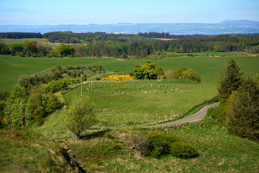 A tranquil summer landscape view of the rolling Scottish countryside with lush green fields and distant hills.
