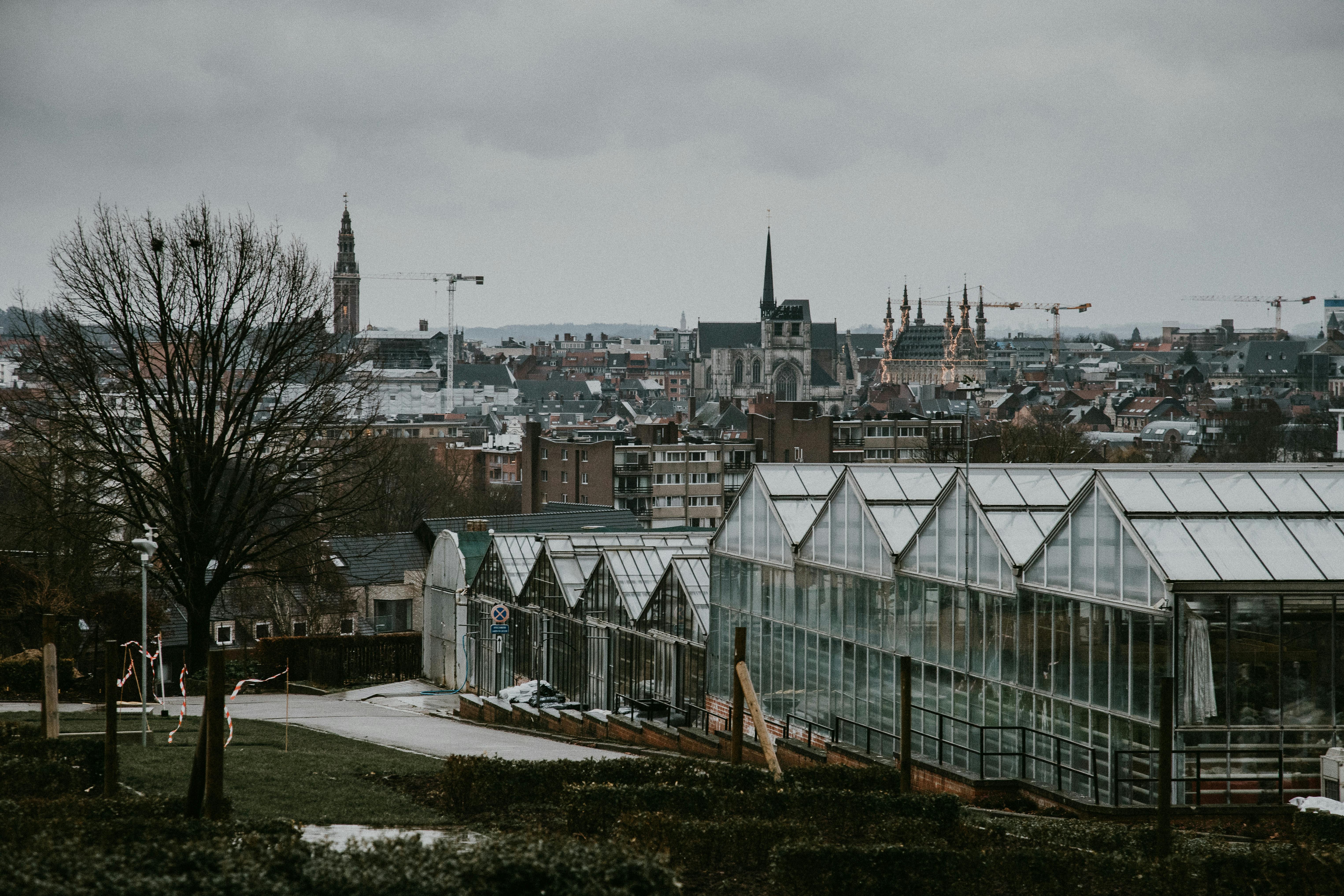 Greenhouses in the City