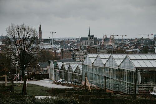 Greenhouses in the City 