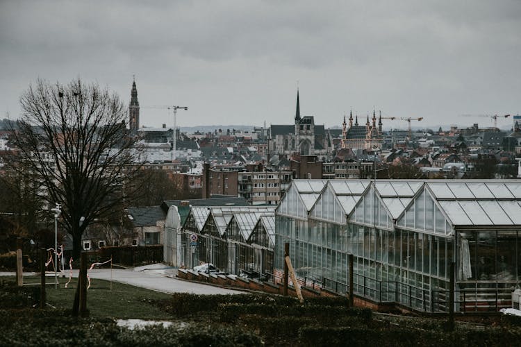 Greenhouses In The City 