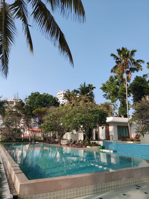 Free Serene pool surrounded by lush greenery and palm trees under a clear sky. Stock Photo