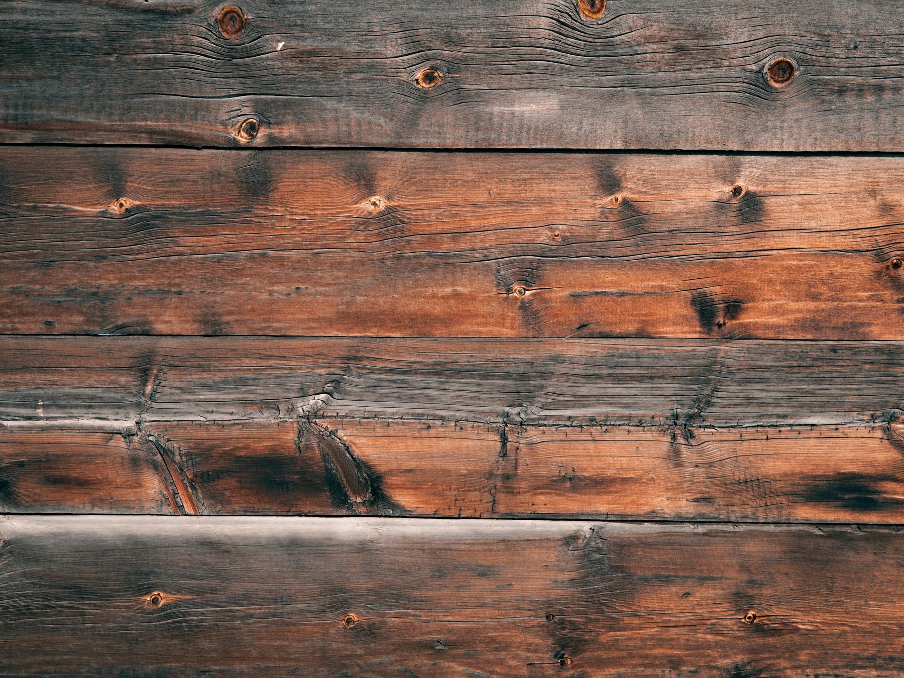 Fence and Decking Painting in Coulsdon — walls rolled to an even, flat finish