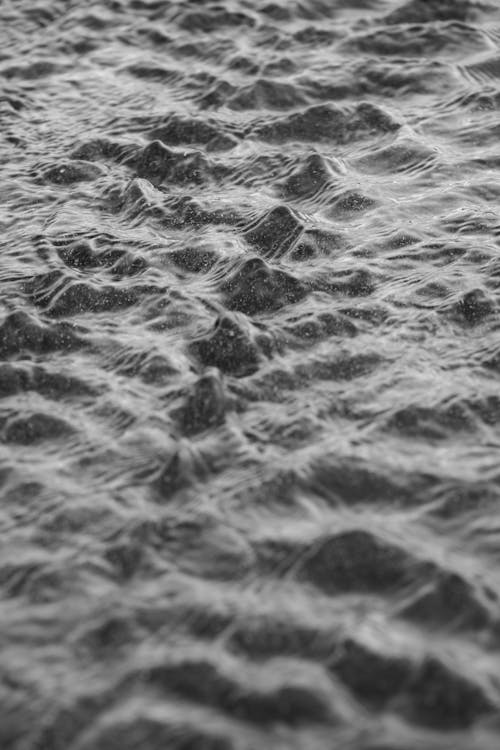 Free stock photo of close-up, water
