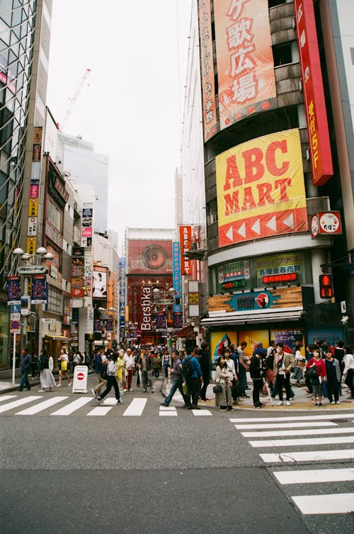 People Walking on Pedestrian Lane