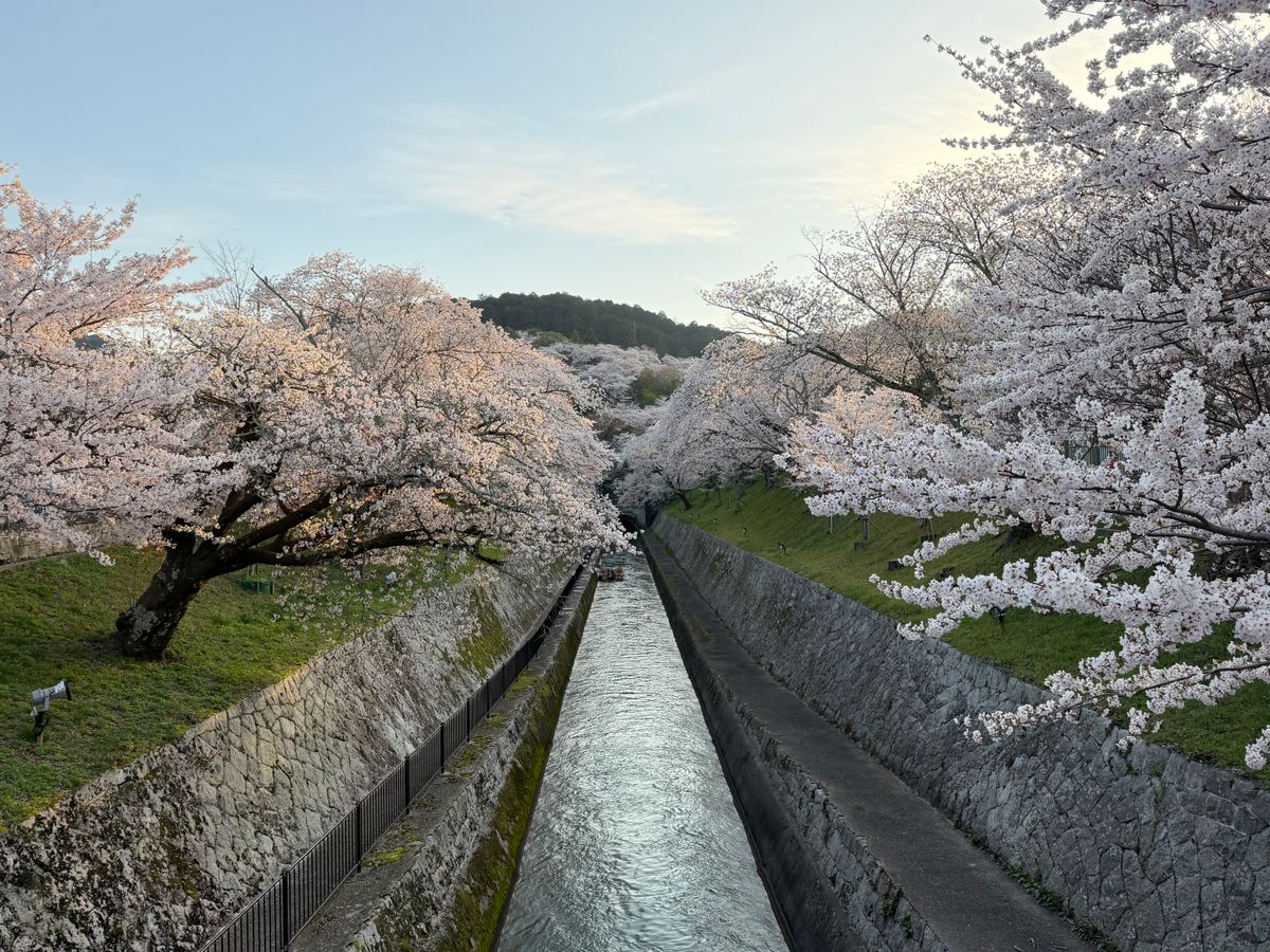Stroll the Philosopher's Path and Northern Higashiyama