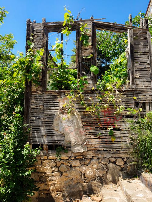 Free Abandoned wooden structure with greenery overtaking it under bright blue sky. Stock Photo