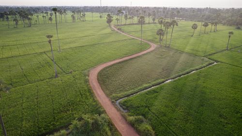 Free Scenic aerial view of lush green fields and a winding path in Repuru, Andhra Pradesh, India. Stock Photo