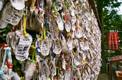 Free Wishes Written in Seashells at a Buddhist Temple Stock Photo