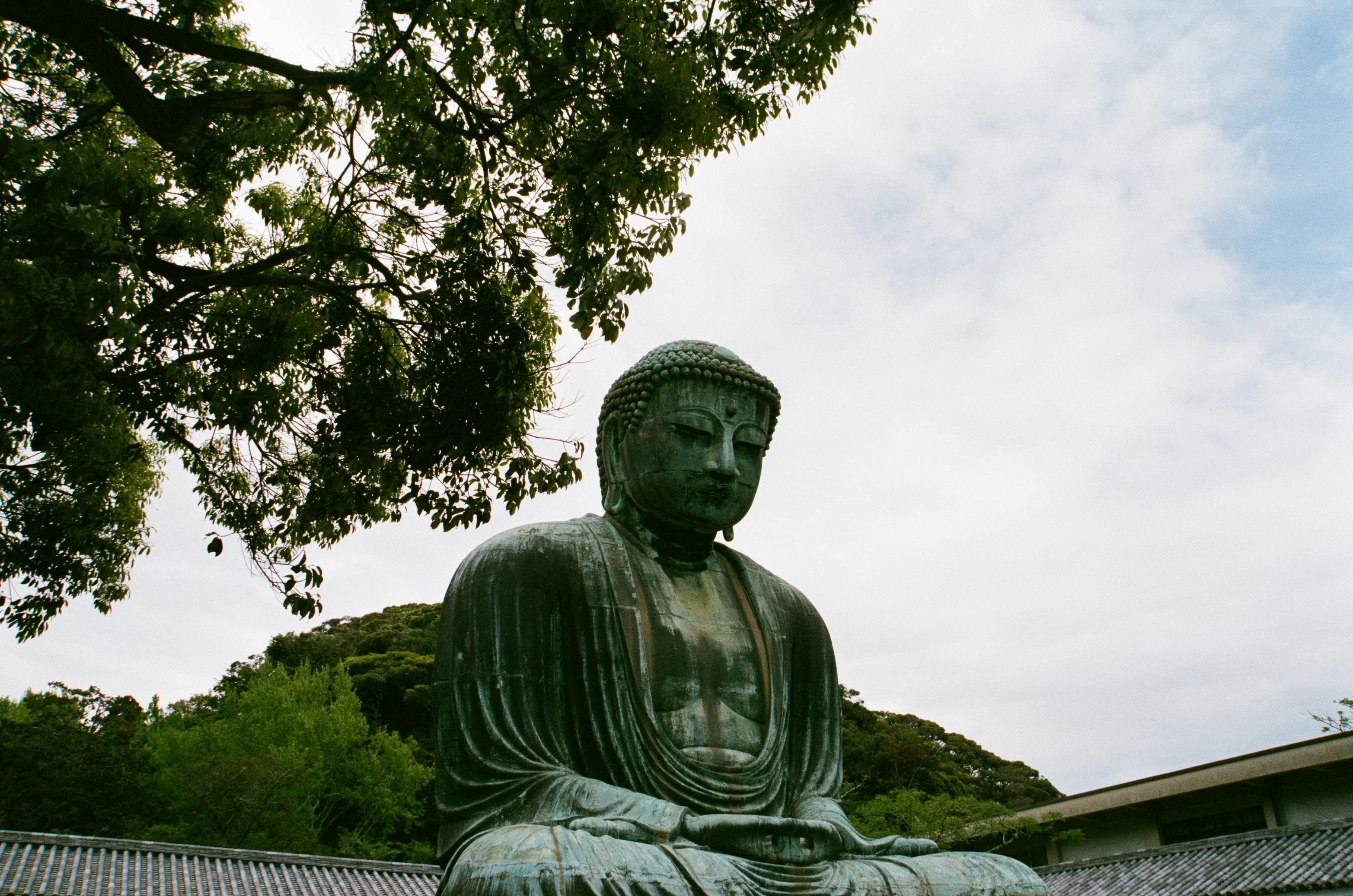 Grand Bouddha De Kamakura Photo Gratuite