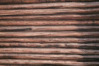 From above of rough logs with cracks and spots placed close to each other illuminated by daylight