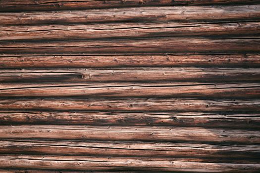 From above of rough logs with cracks and spots placed close to each other illuminated by daylight