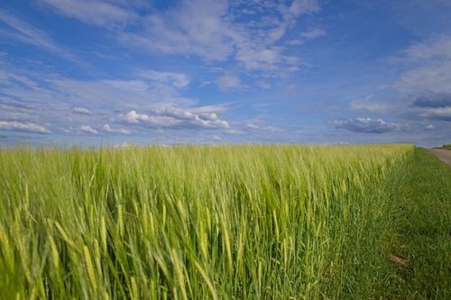 Free stock photo of aesthetic sky, expansive fields, landscape Stock Photo