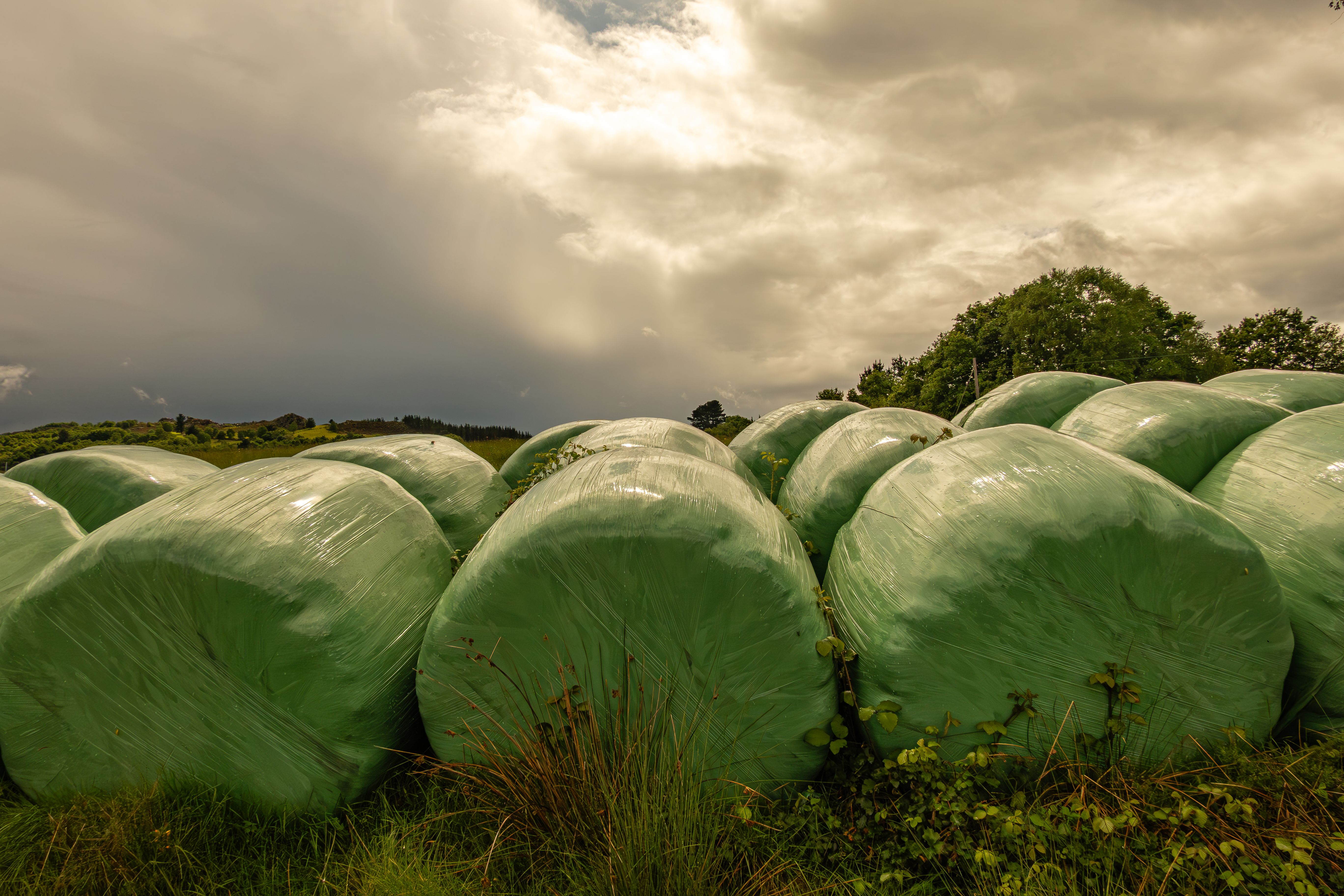 Cotton Bales