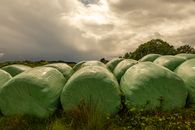 Large green hay bales wrapped and lined in a rural landscape under dramatic clouds.
