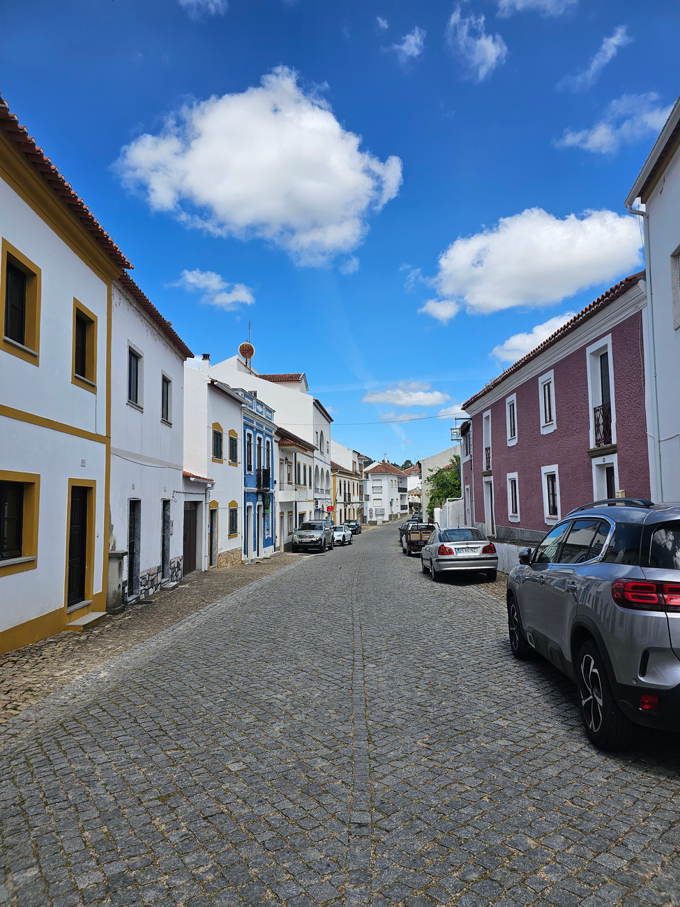 Portalegre: motores ao rubro e pilotos sem medo na Avenida George Robinson