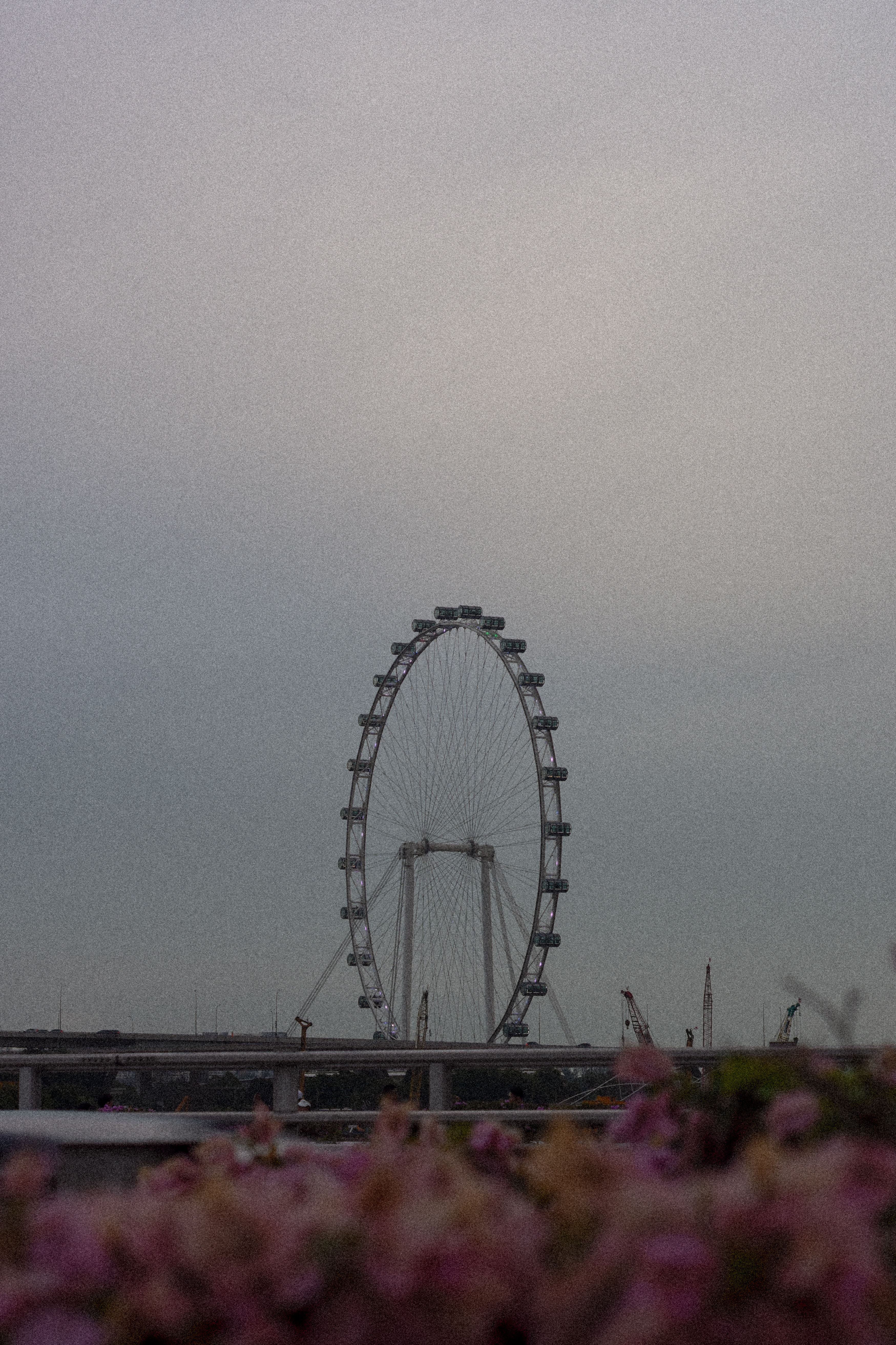 A striking view of the Singapore Flyer with flowers in the foreground under a cloudy sky.