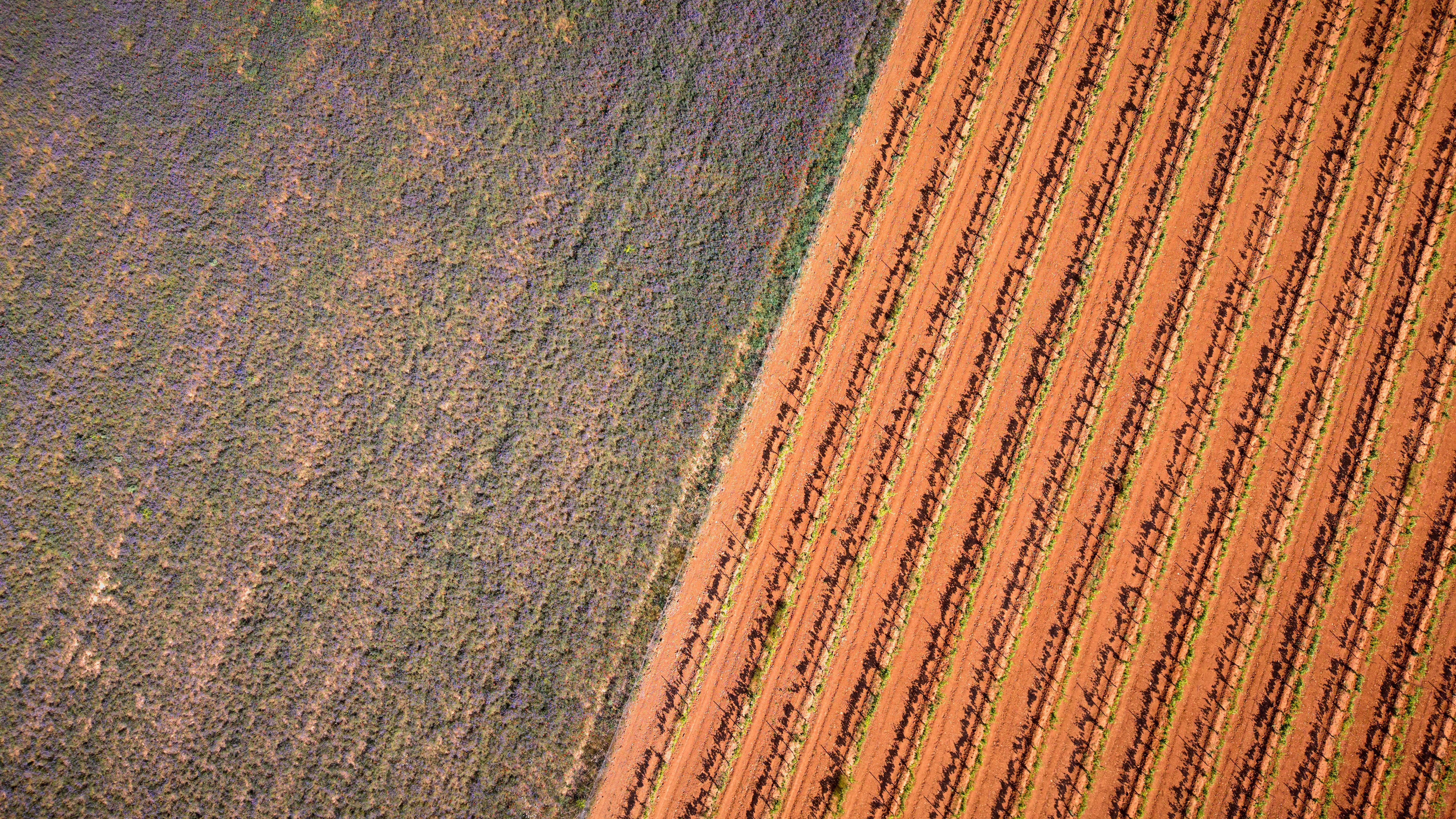 glyphosate espagne - Qui peut acheter du glyphosate légalement en Espagne ?