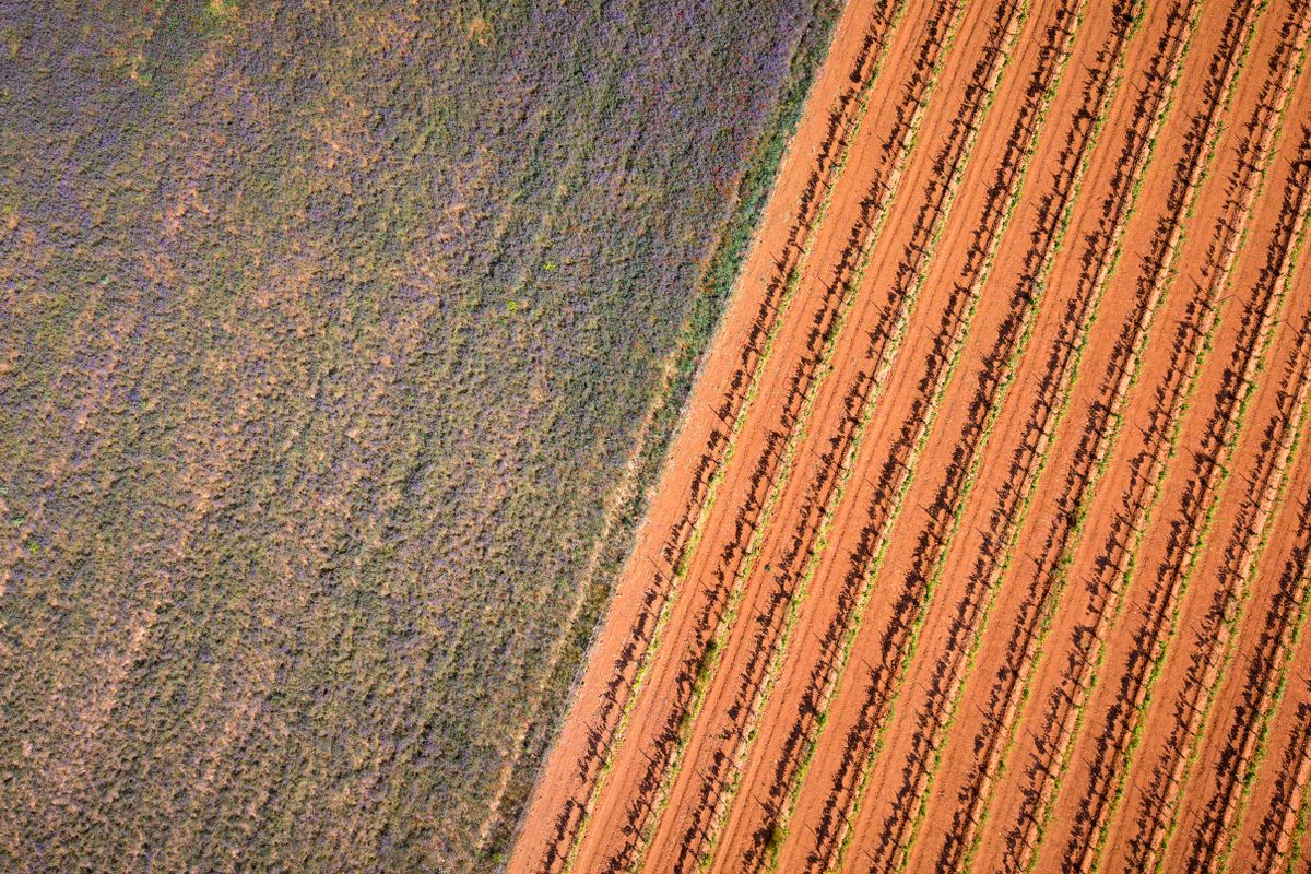 glyphosate espagne - Qui peut acheter du glyphosate légalement en Espagne ?