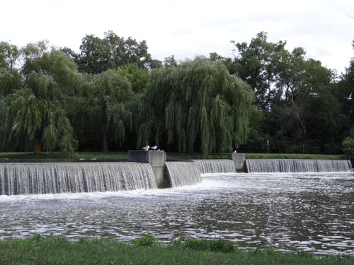Free Serene waterfall flowing in a lush green park with willow trees and birds present. Stock Photo