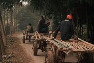 Ethnic men moving on bamboo cart fixed on horses