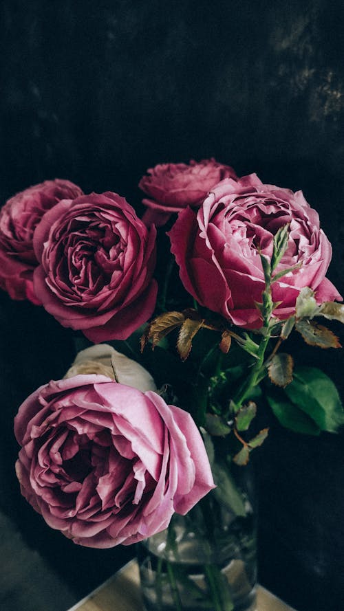 Gratis Vaso Con Rose Delicate Fresche Poste Sul Tavolo Foto a disposizione