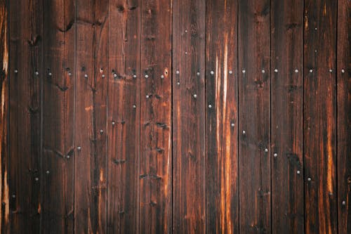 Shabby texture of wooden door as background