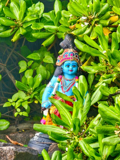 Free Vibrant Hindu deity statue amidst lush green foliage, providing a serene cultural scene. Stock Photo