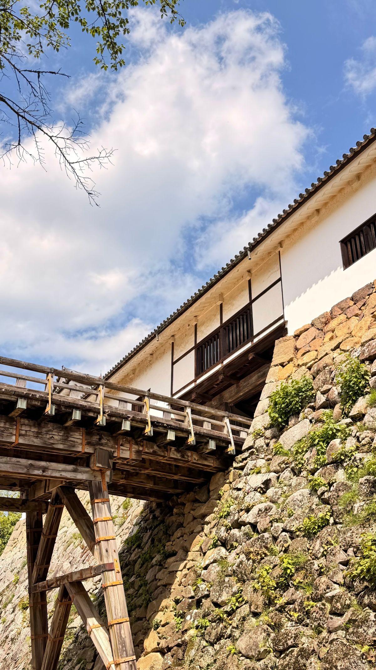 Wooden bridge and white-walled turret above the stone walls of Hikone Castle under a blue sky