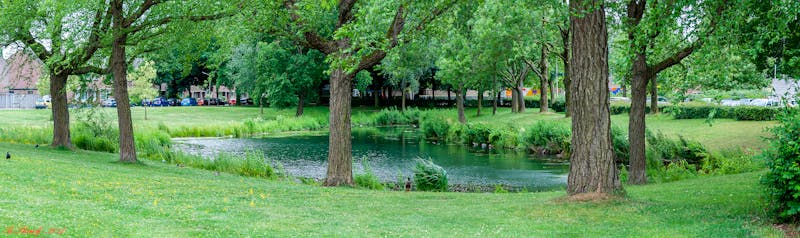 Close up of toddler's feet