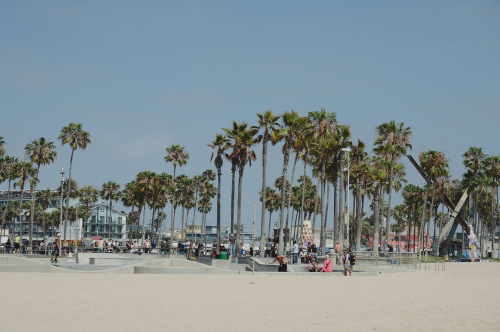 Venice Beach skate park on a clear day