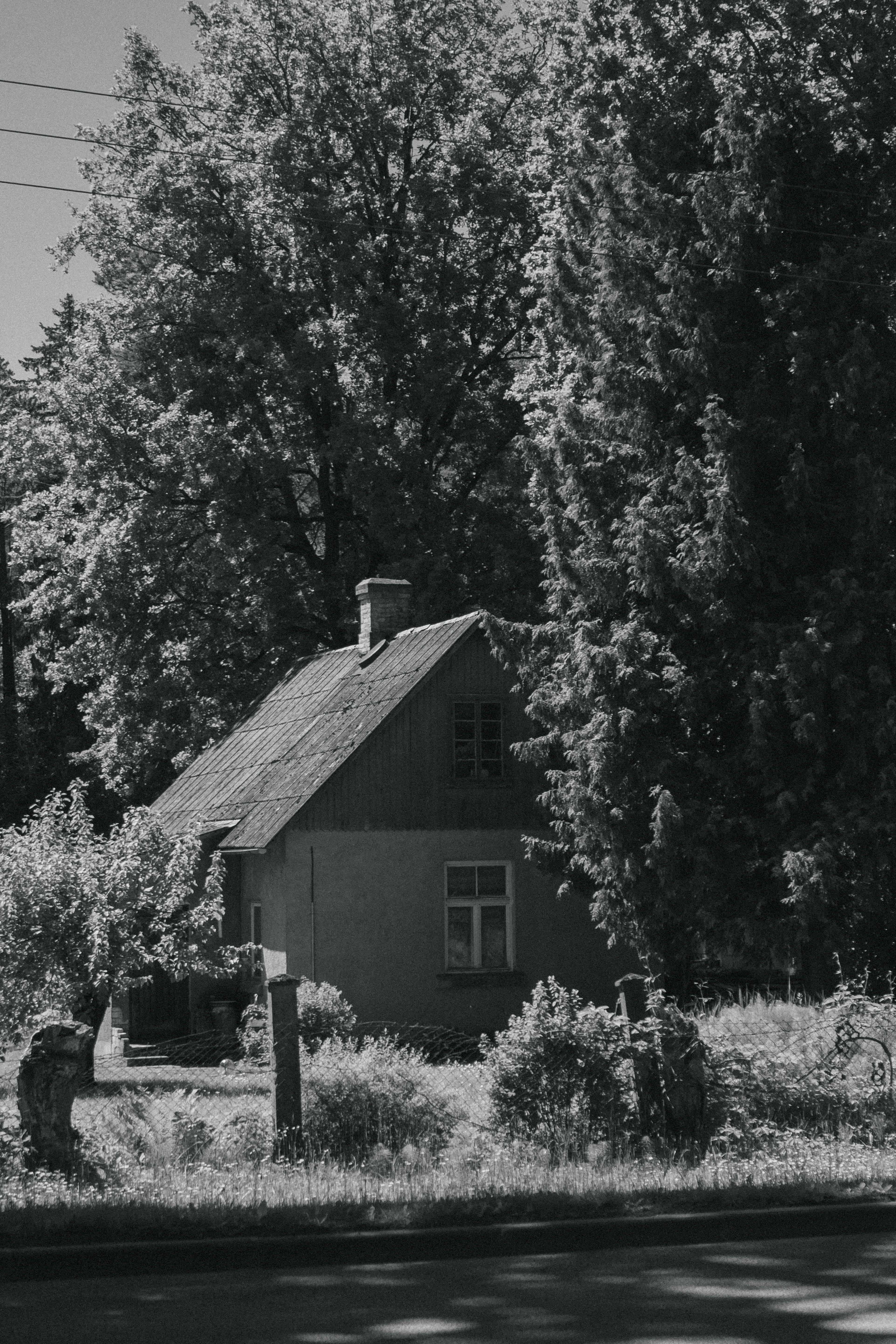 A serene black and white photograph of a rural house surrounded by tall trees, exuding tranquility.