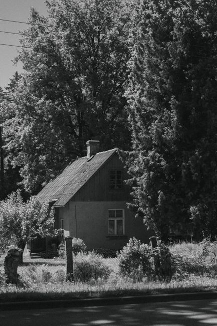 A serene black and white photograph of a rural house surrounded by tall trees, exuding tranquility.