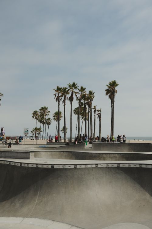 Free Venice Beach skate park scene with palm trees and people enjoying a sunny day. Stock Photo