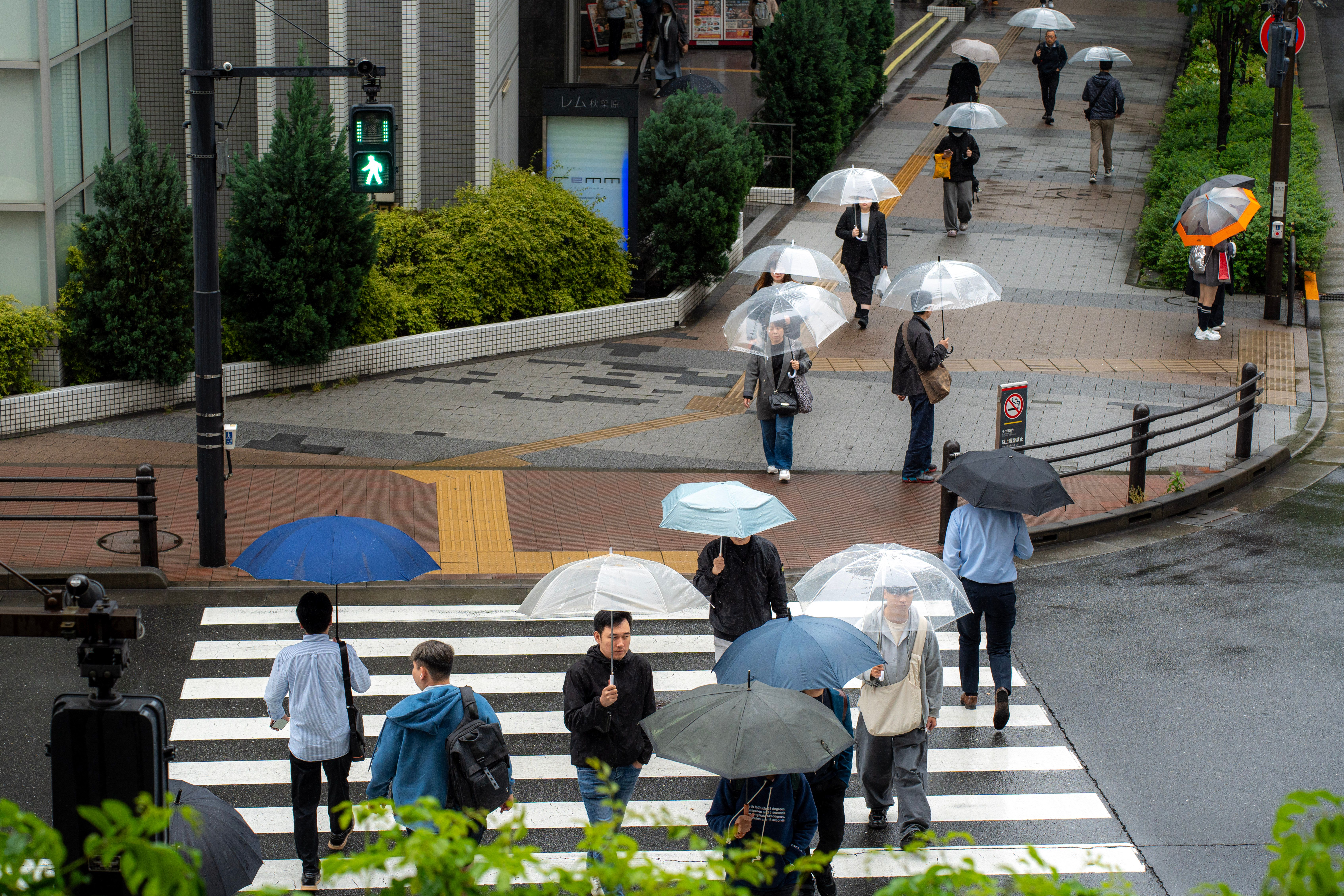 People crossing a crosswalk with umbrellas on a rainy day in Tokyo, Japan.