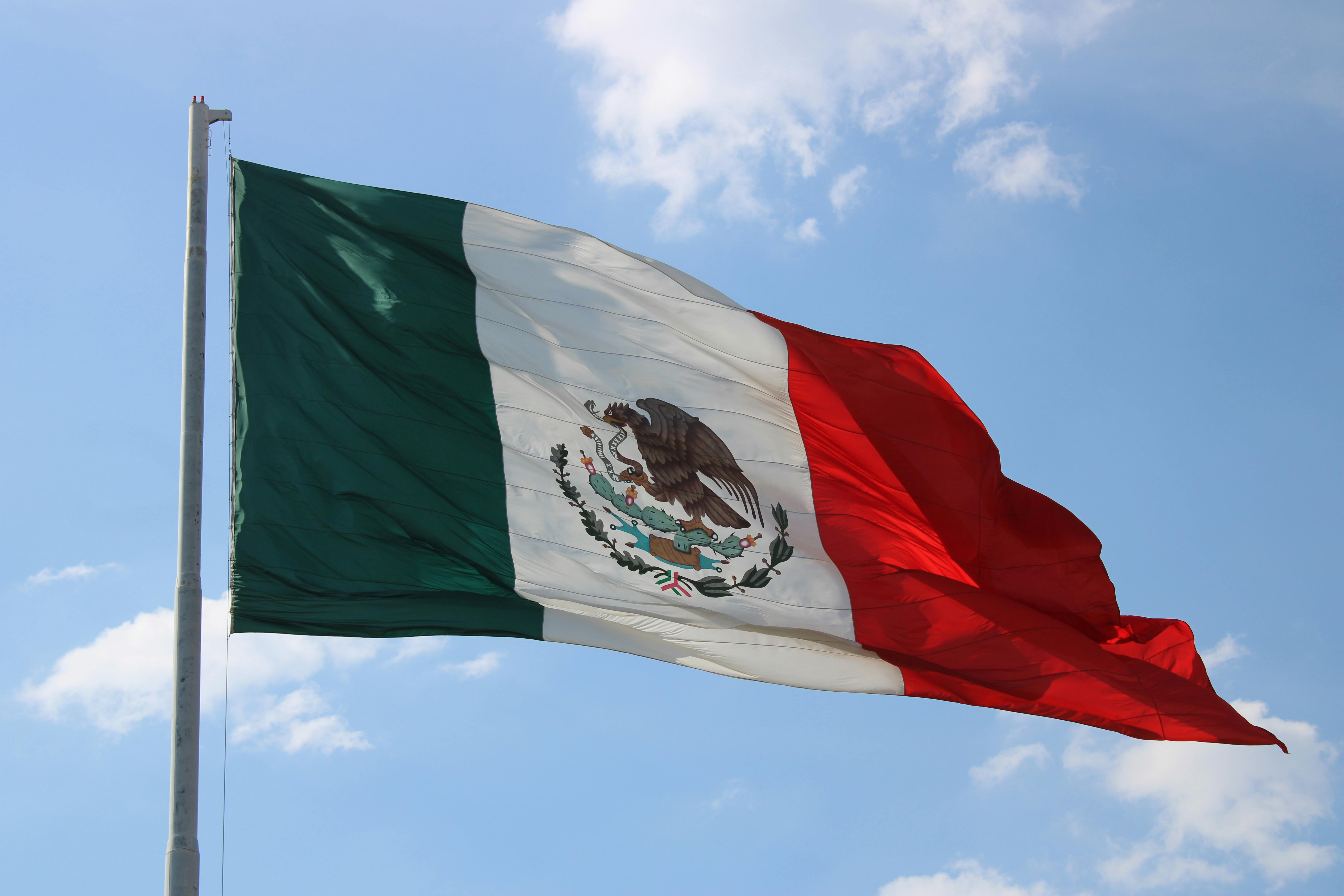 Flag Of Mexico Stock Illustration - Download Image Now - Mexican Flag,  Flag, Mexico - iStock