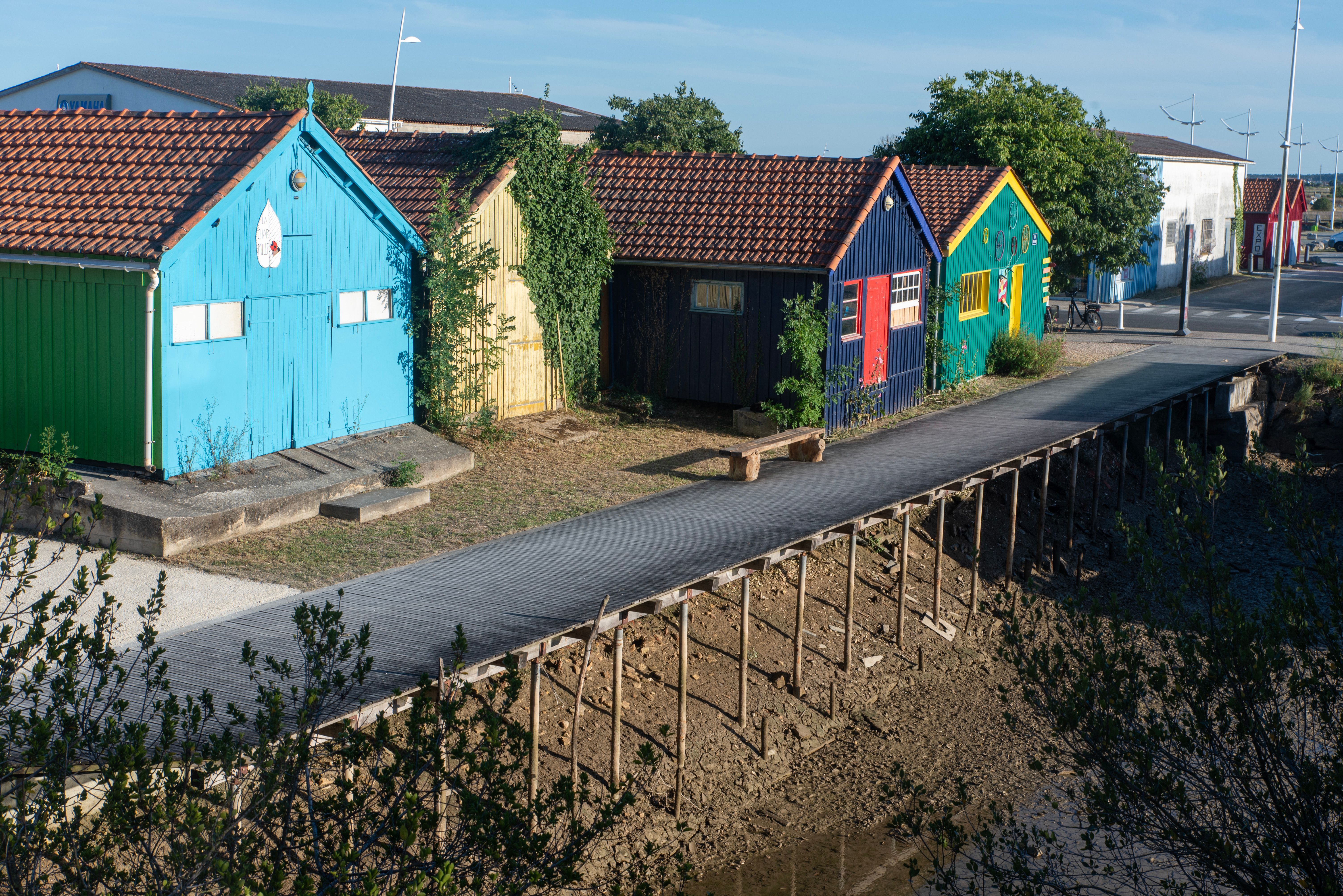Fence and Decking Painting in Nunhead — walls rolled to an even, flat finish