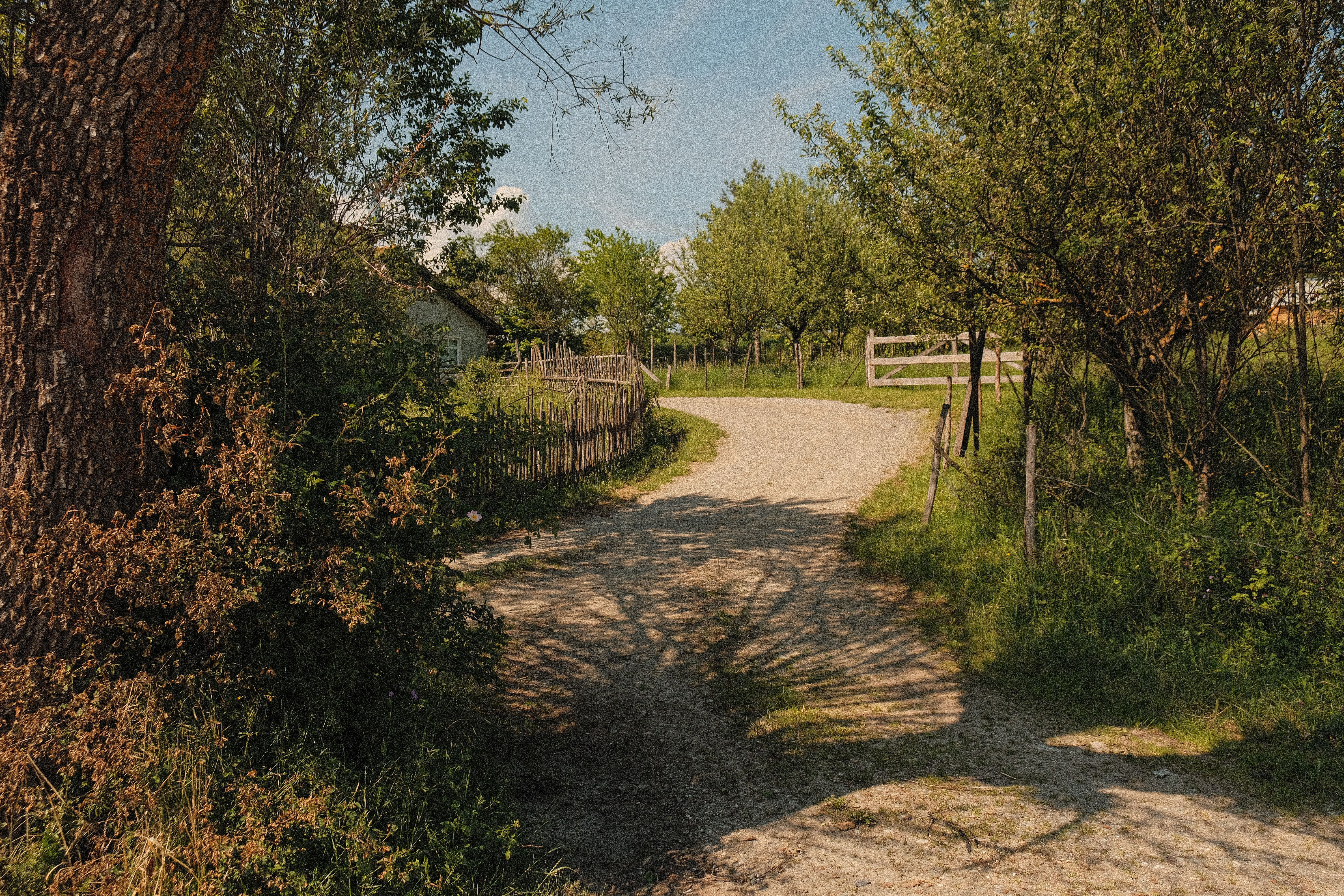 micro niche travel off‑the‑beaten‑path trips — Photo by zeynepshoots on Pexels