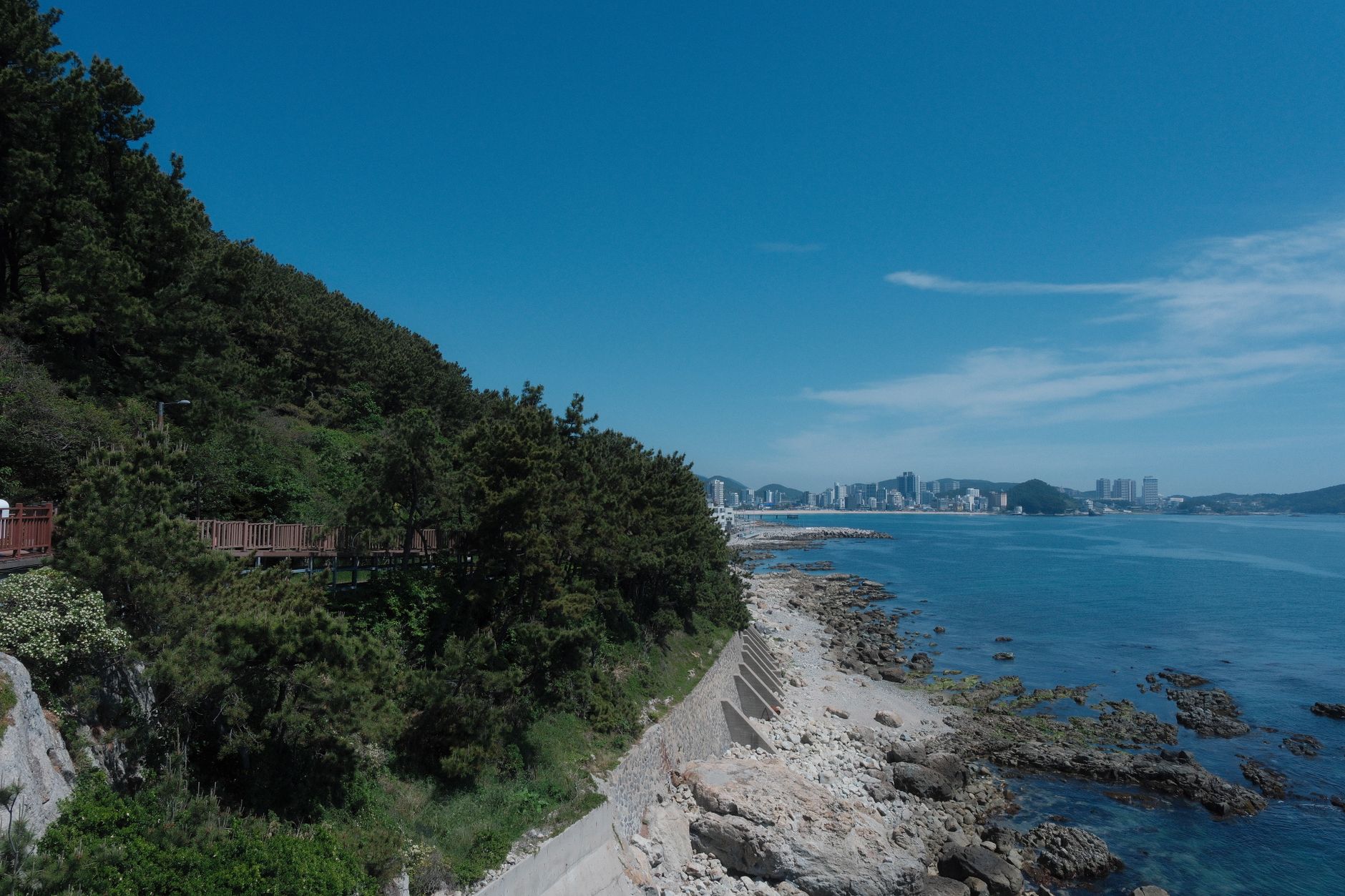 Beautiful coastal landscape of Busan with city skyline and lush greenery along the promenade.