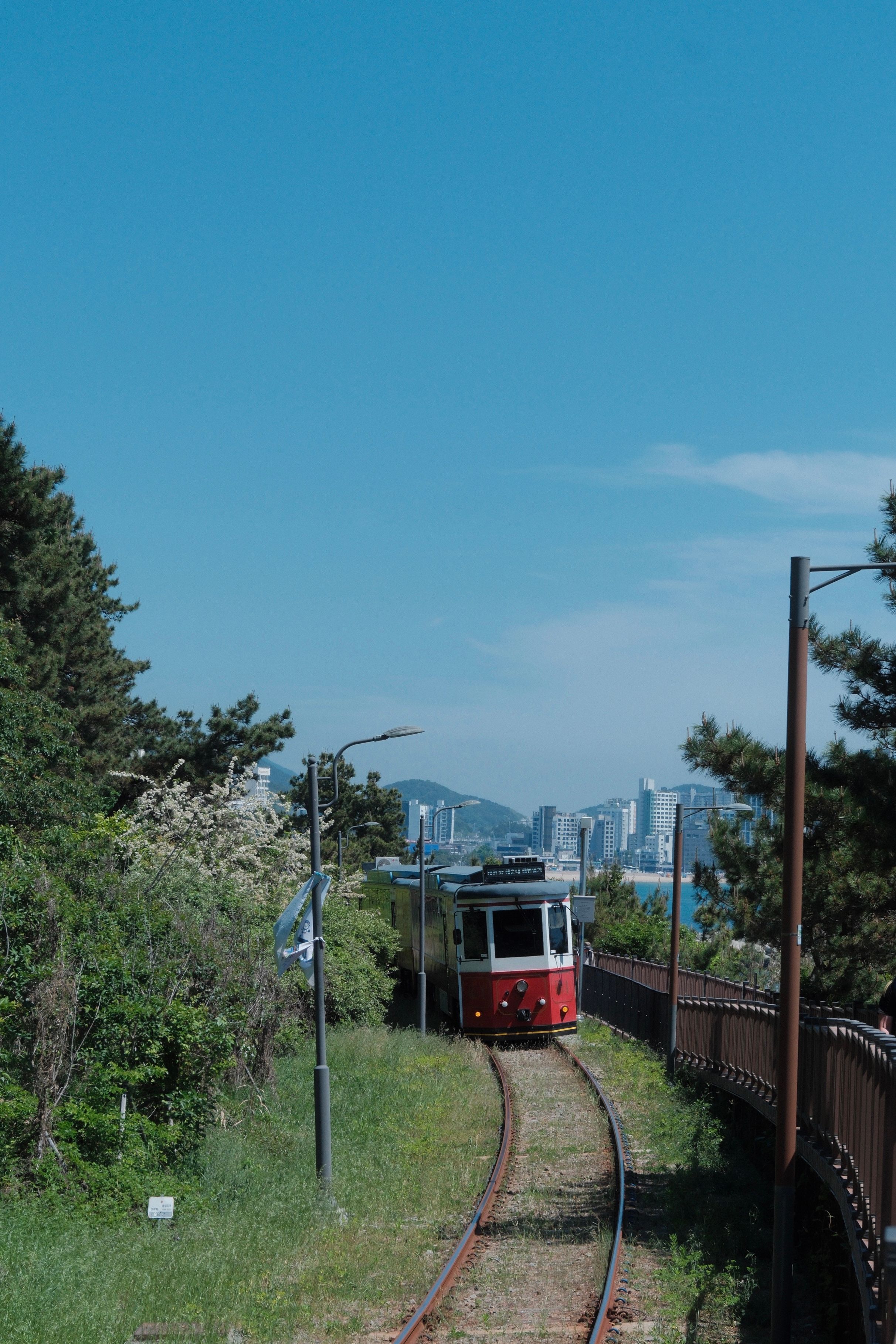 Charming train journey through lush greenery towards a South Korean cityscape under a bright blue sky.