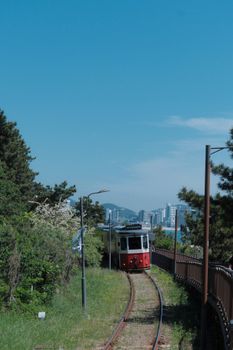 Charming train journey through lush greenery towards a South Korean cityscape under a bright blue sky.
