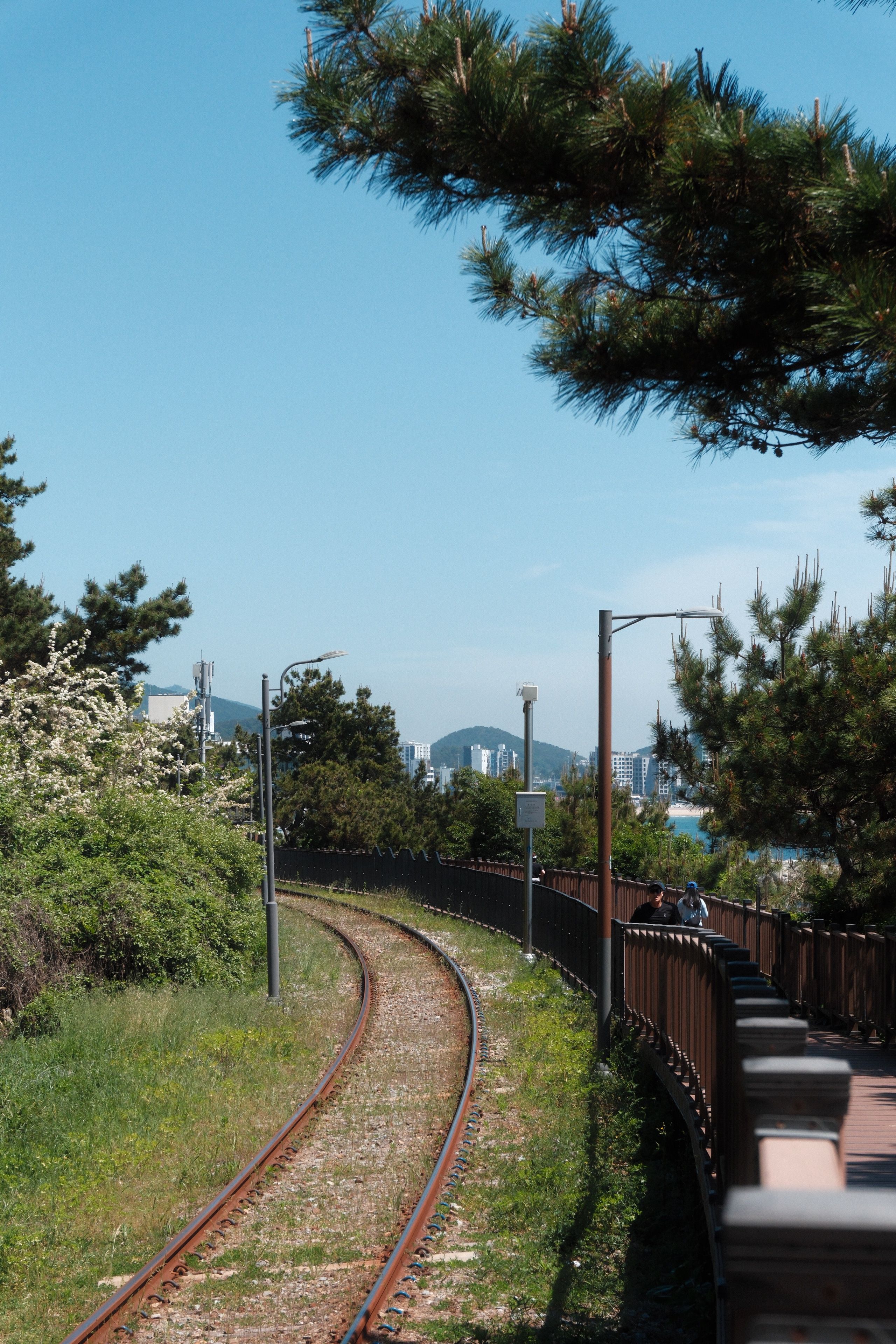 Curved railway path surrounded by greenery under clear blue skies in South Korea, perfect for nature and travel themes.