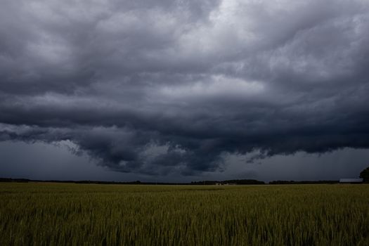 Ottawa Just Had Its Wettest July on Record, And Local Farms Are Feeling It
