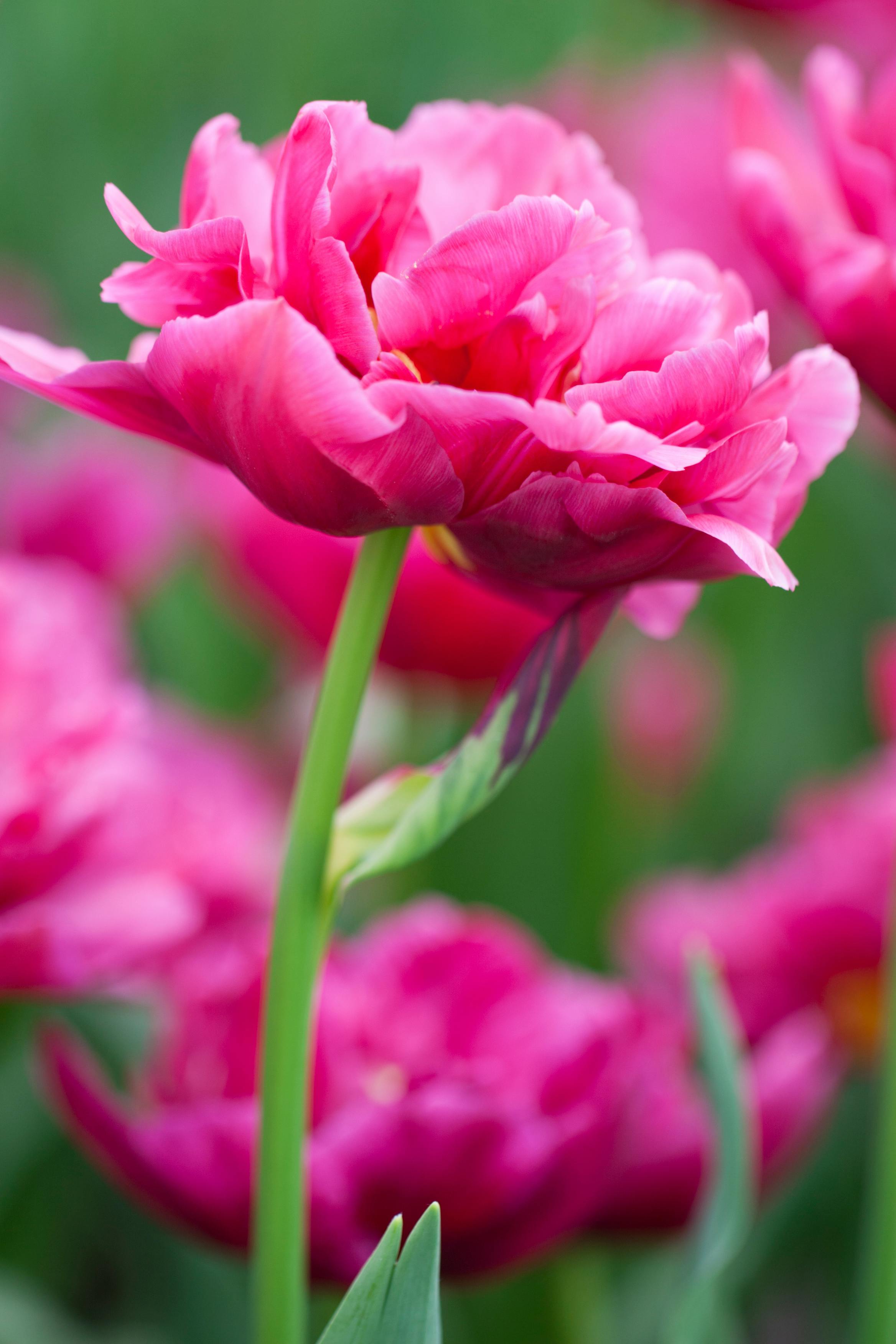 여행 경비를 절약하는 방법들을 보여주는 이미지