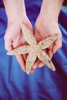 宝蓝色背景下，手持米色海星的特写